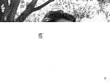 pcapereiralimax1.jpg (6680 bytes)